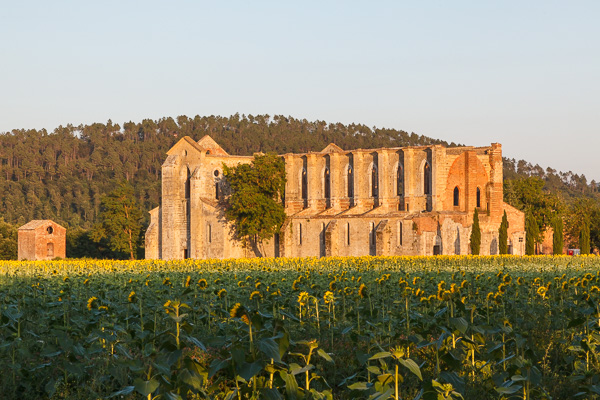 Toskana - San Galgano