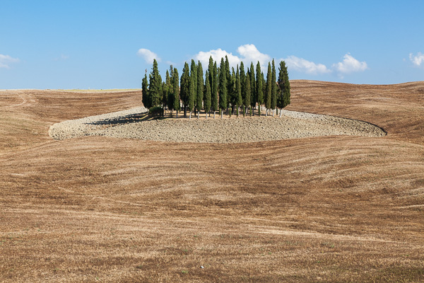 Toskana - Landschaften - An der Straße von Buonconvento nach Pienza