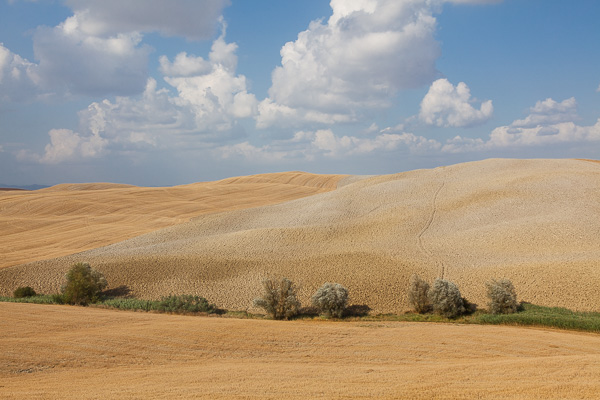 Toskana - Landschaften - Val di Merse