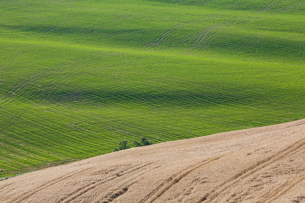 Toskana - Landschaften - Wellengang