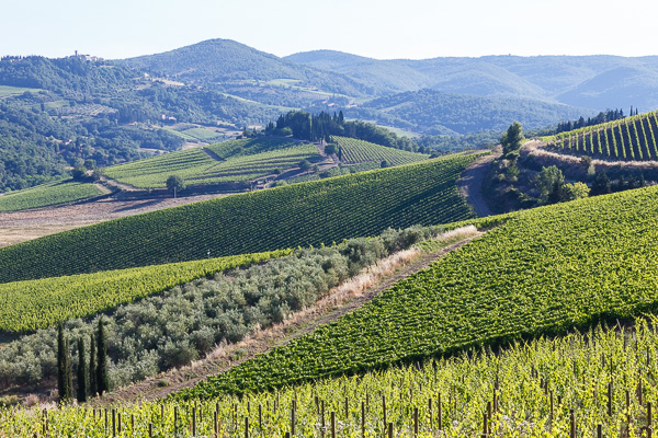 Toskana - Landschaften - Chianti