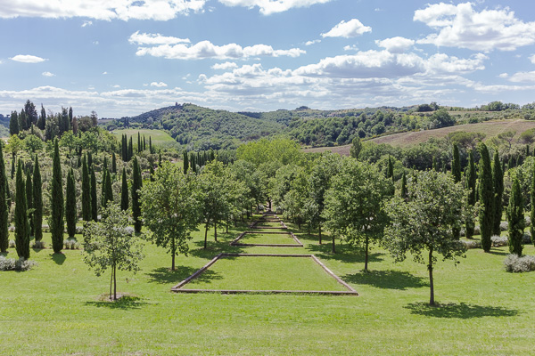 Toskana - Bosco della Ragnaia