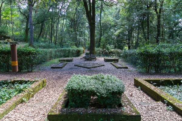 Toskana - Bosco della Ragnaia