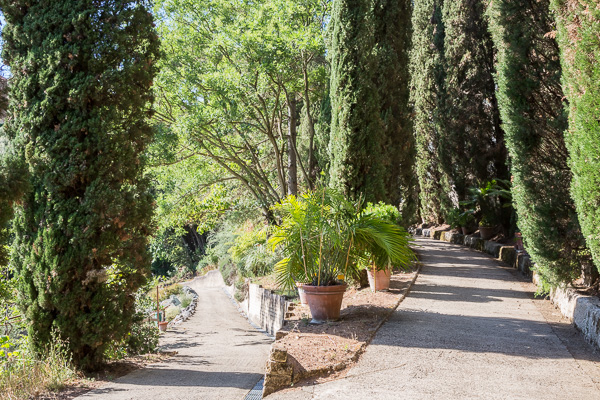 Toskana - Siena - Der botanische Garten