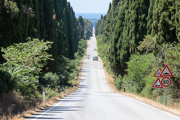 Toskana - Bolgheri - Die Zypressenallee