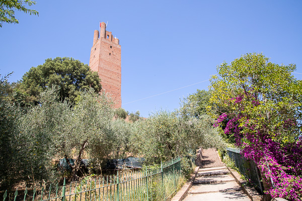 Toskana - San Miniato - Torre di Federico